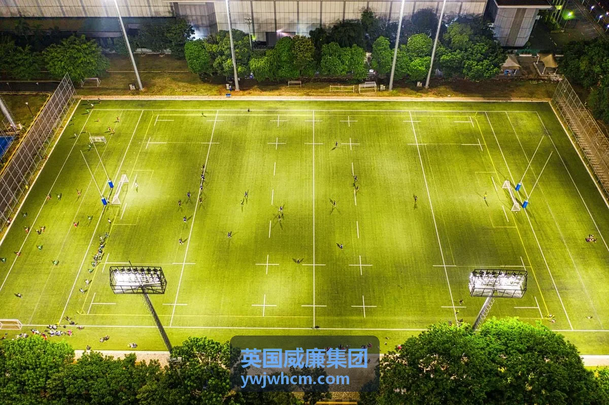 英国威廉集团增长战略
