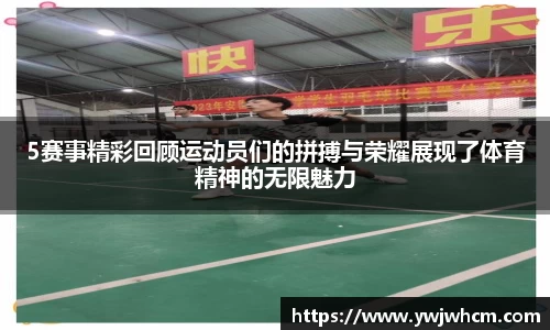 3377体育官网