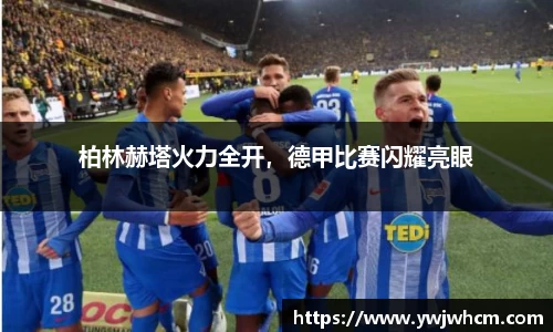 3377体育
