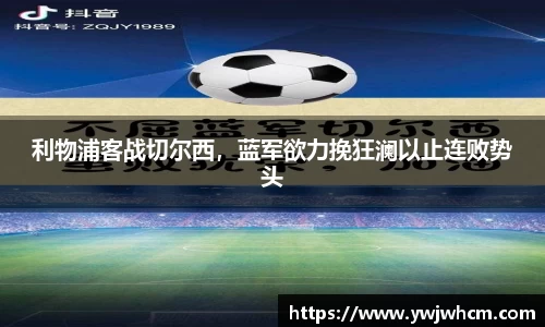 3377体育官网