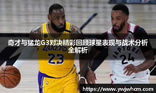 3377体育官网