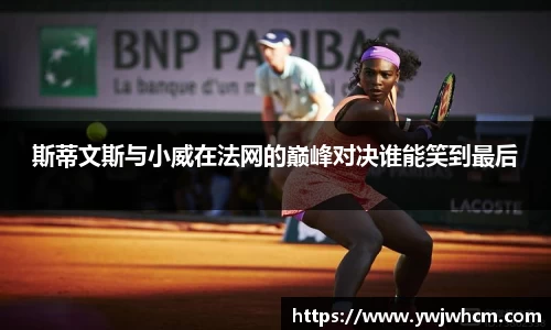 3377体育官网