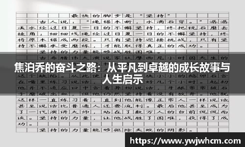 3377体育