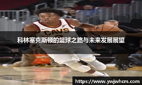 3377体育官网
