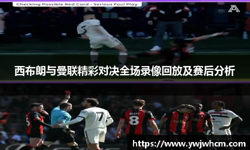 3377体育官网