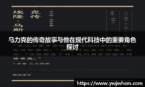 3377体育平台