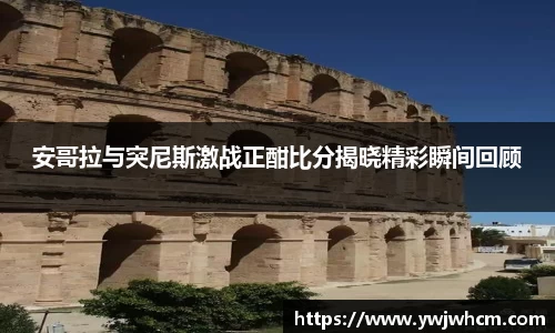 3377体育平台