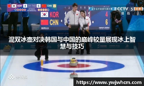 3377体育