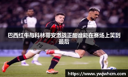 3377体育官网