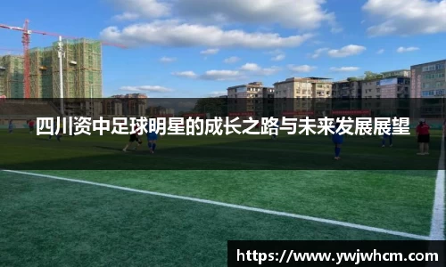 3377体育