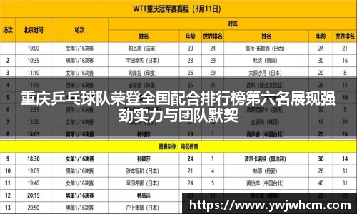 3377体育官网