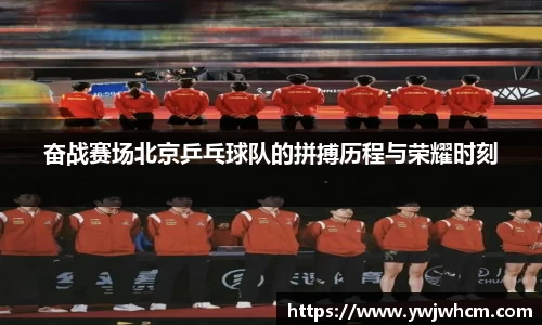 奋战赛场北京乒乓球队的拼搏历程与荣耀时刻